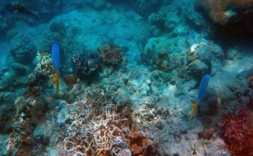 海底两万里第9章读后感7篇