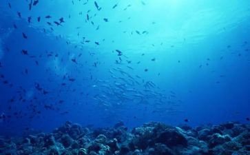 海底两万里读后感400字作文8篇