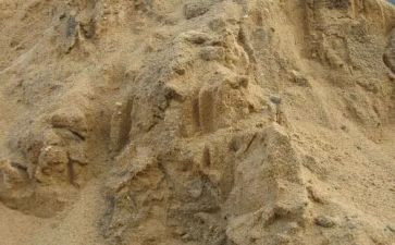 海砂销售合同7篇