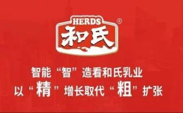 和氏的调查报告7篇