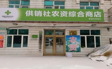 供销合作社工作总结6篇