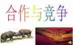 合作与竞争的演讲稿6篇