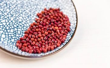 红豆作文600字8篇