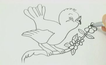 幼儿园《画》教案模板6篇
