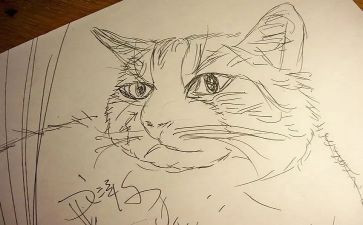 中班《画》教案模板8篇