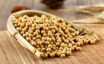 炒黄豆幼儿教案7篇