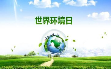 六五环境日宣传总结7篇