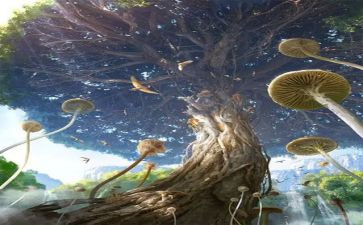 鱼的幻想读后感5篇