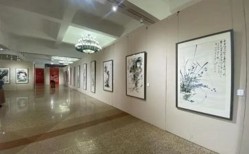 画展的心得体会5篇