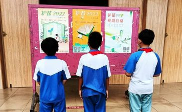 2024护苗在行动观后感5篇