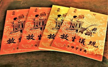 保护生态的作文800字7篇