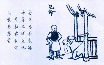 保护生态环境调查报告6篇