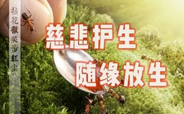 保护生态文明的心得体会7篇