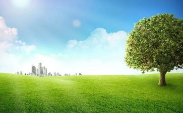 大班户外体育教案优质8篇