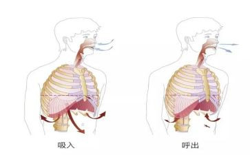 呼吸科医生工作总结7篇