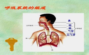 呼吸科年终个人总结8篇