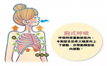 在呼吸内科的自我鉴定通用7篇
