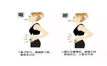 在呼吸内科的自我鉴定优质8篇