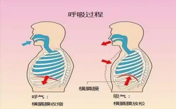 呼吸科工作总结范文5篇