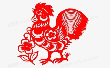 鸡与鹤的故事读后感优质5篇
