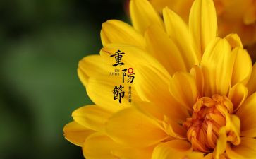话佳节的作文精选7篇