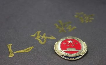 副检察长述职报告8篇