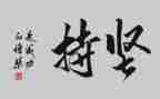 坚持会成功作文精选5篇