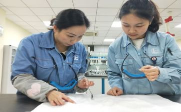 鉴定师申请书优质8篇