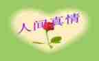 写真情的作文500字8篇