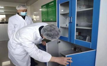 检验师述职报告7篇