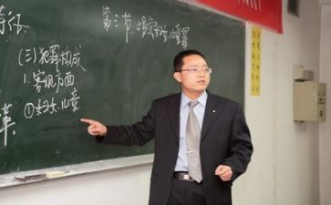 培训教师工作总结范文模板6篇