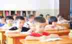 教学培训体会心得体会最新5篇
