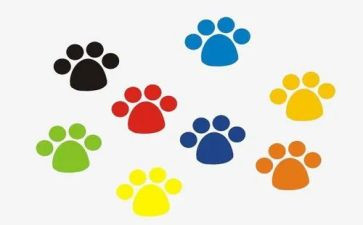 幼儿园小班踩脚印教案5篇