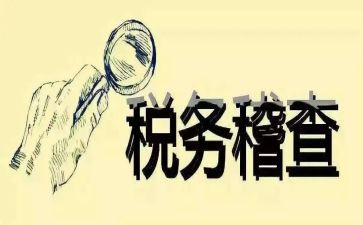 稽查员工作总结精选7篇