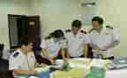 税务稽查个人总结7篇