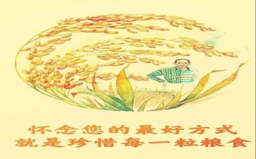 青春节粮心得体会参考6篇