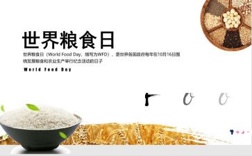 青春节粮心得体会模板7篇