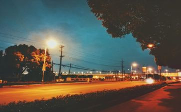 调查街头错别字调查报告7篇