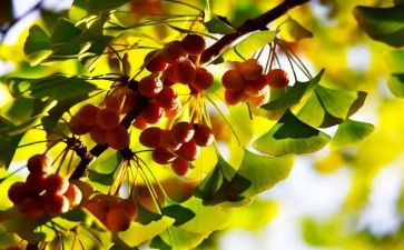 小学写季节的作文参考8篇