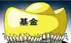 基金财务工作总结5篇
