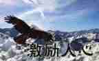 激励读书的演讲稿6篇