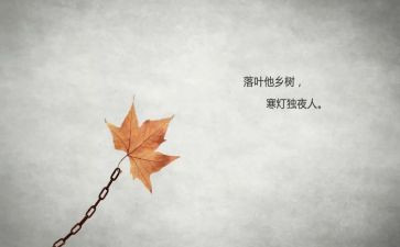 寂寞的作文600字作文6篇