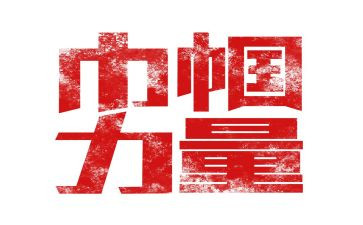 巾帼建功标兵主要事迹材料1000字5篇