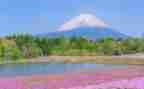 秋天的写景作文500字5篇