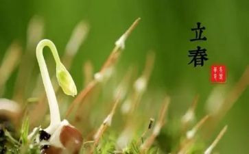 节气歌大班教案5篇