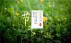 节气歌大班教案参考7篇