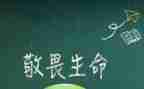 我敬畏作文参考5篇