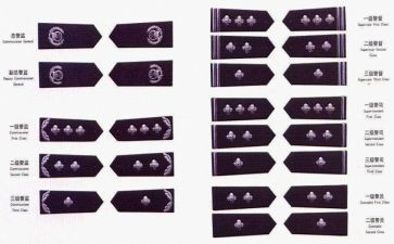 警衔培训总结7篇