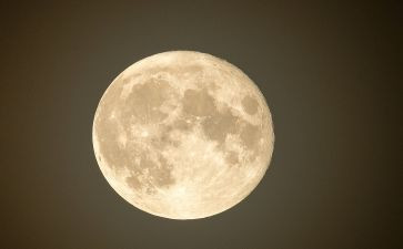 今夜月儿圆作文6篇