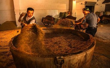 酒店调查报告范文5篇